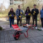 Mit Teamspirit zu schönerem Wohnen in Großräschen